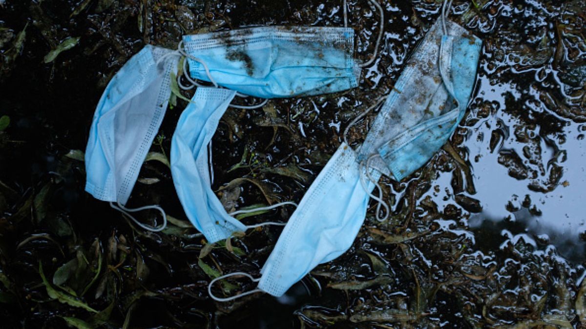 Pandemia COVID-19 utrudnia ekologom skuteczną ochronę przyrody