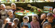 Świętowali Dzień Dinozaura