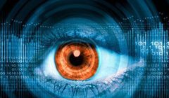 GigaOferta II - nowe oferty Netii