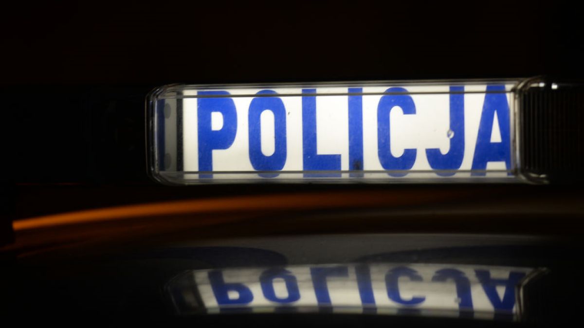 Szokujące ustalenia policji. Kobieta miała znęcać się nad partnerem i molestować córkę