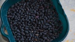 "Eliksir młodości". Najzdrowszy owoc na serce i mózg