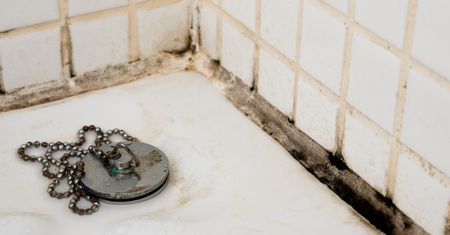 Grzyb w łazience – jak zidentyfikować i usunąć źródło problemu?