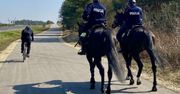 Policja na koniach. Niecodzienny pościg w Częstochowie