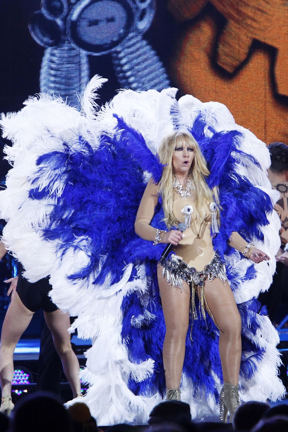 Maryla Rodowicz w 2013 roku