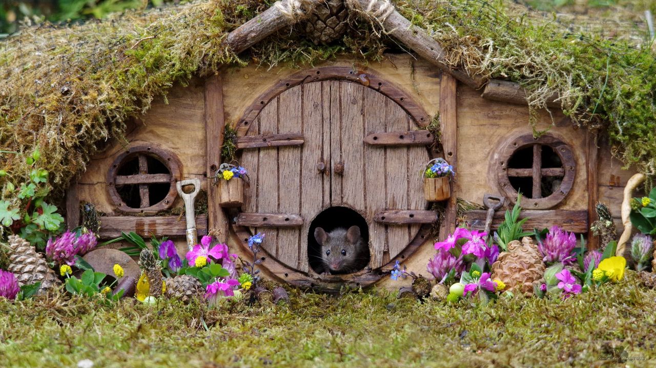 Zbudował mysią wioskę w stylu Hobbita. Dała mu ukojenie w depresji
