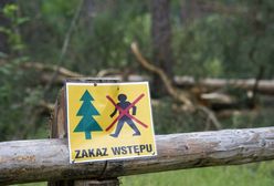 Do lasu nie wejdziesz. Leśnicy alarmują