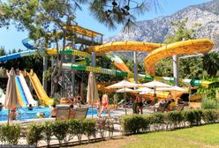 First minute było hitem. Polacy wybrali trzy kraje