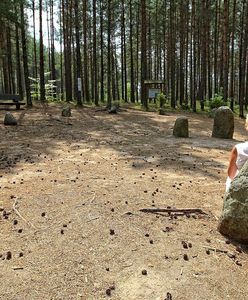 Polskie Stonehenge. Kamienne kręgi w Węsiorach