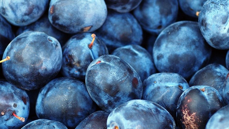 "Królowa śliwek" już jest w sklepach. Jelita je kochają