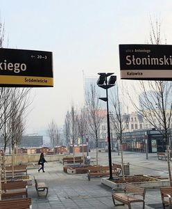 Katowice. Nie spodobały się, dlatego mieszkańcy sami wybiorą nowy wzór