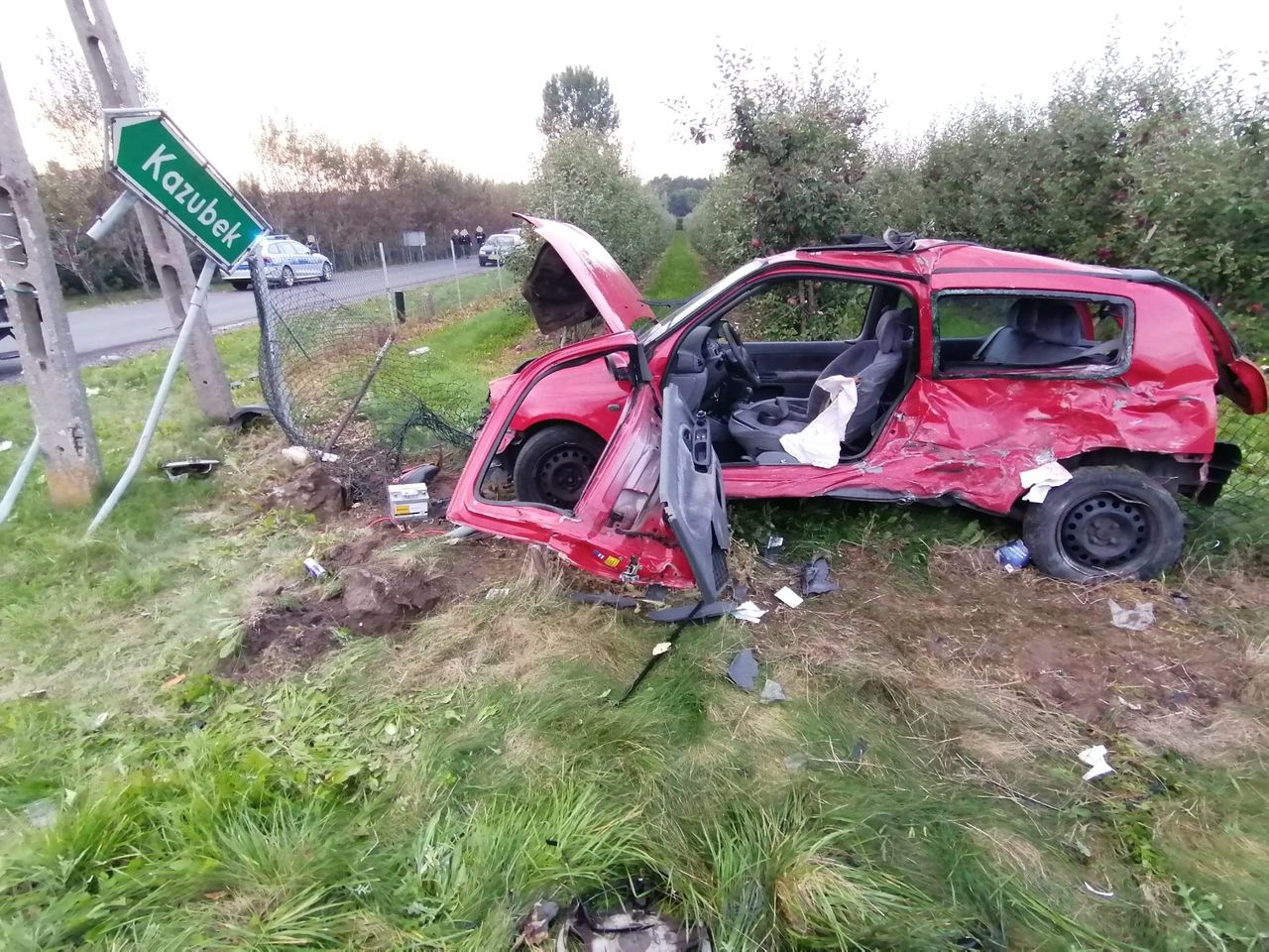 Osierociła czworo dzieci. Tragedia pod Koninem