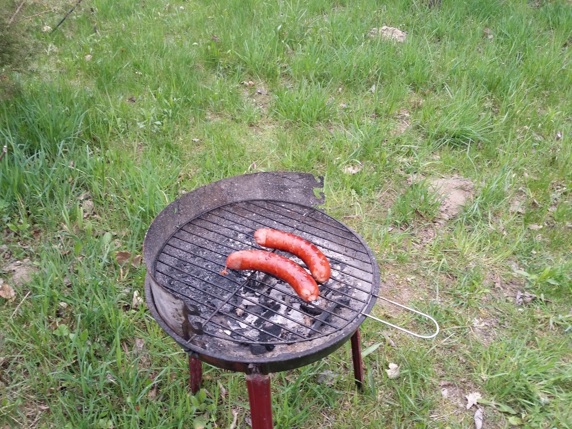 Zakazane podczas grillowania
