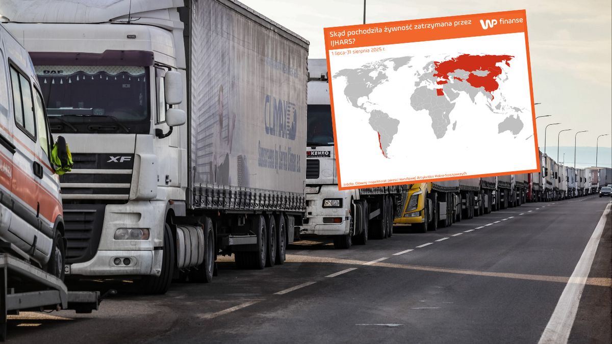 Skąd pochodzi zatrzymywana żywność? Wyniki wakacyjnych kontroli