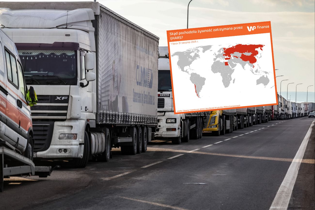 Ponad 12 tys. kontroli żywności z zagranicy. Oto liderzy zakazów