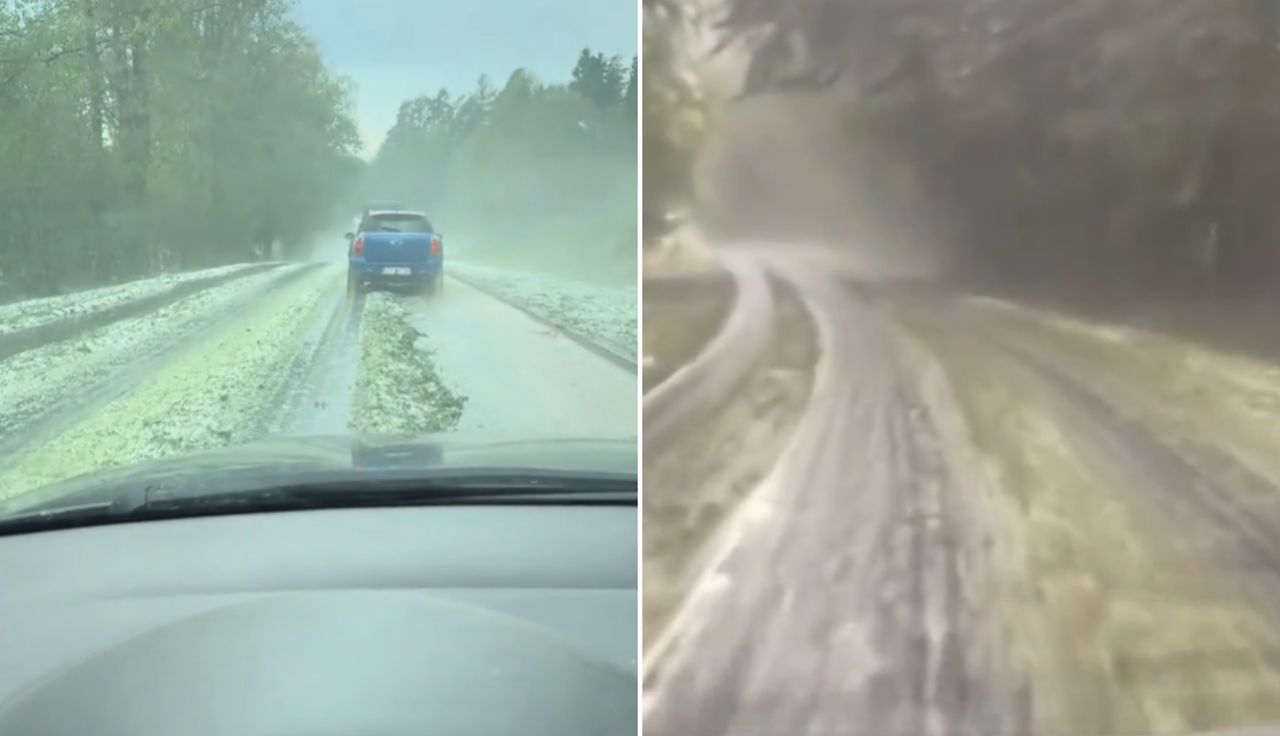 To nie fotomontaż. Tak wyglądały drogi w lasach. Aż zaczęli nagrywać