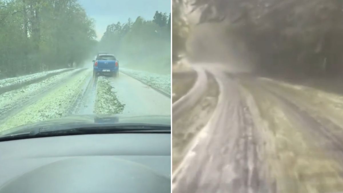 Pokazali nagrania z lasów po nawałnicach.