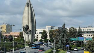 Rzeszów: Kierowca autobusu najechał na łapkę psa. MPK wyjaśnia sprawę
