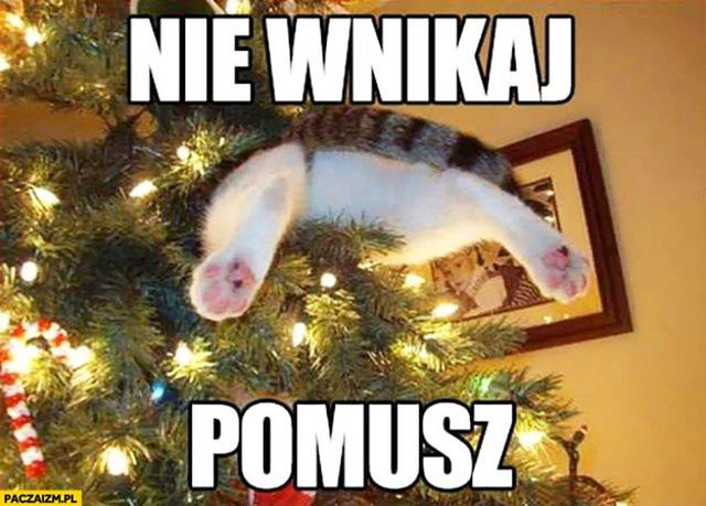 Memy świąteczne 