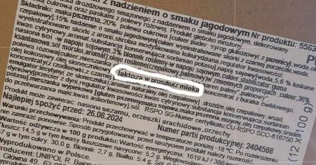 Wegańskie pączki z laktozą w składzie. Lidl pilnie wycofuje produkt ze sklepów i przeprasza klientów