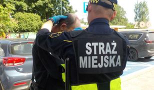 Widelec i siekiera. Krwawa bójka przy zoo w Warszawie