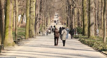 Postawili ławkę za 120 tys. zł. Burmistrz wyjaśnia, skąd wzięto pieniądze