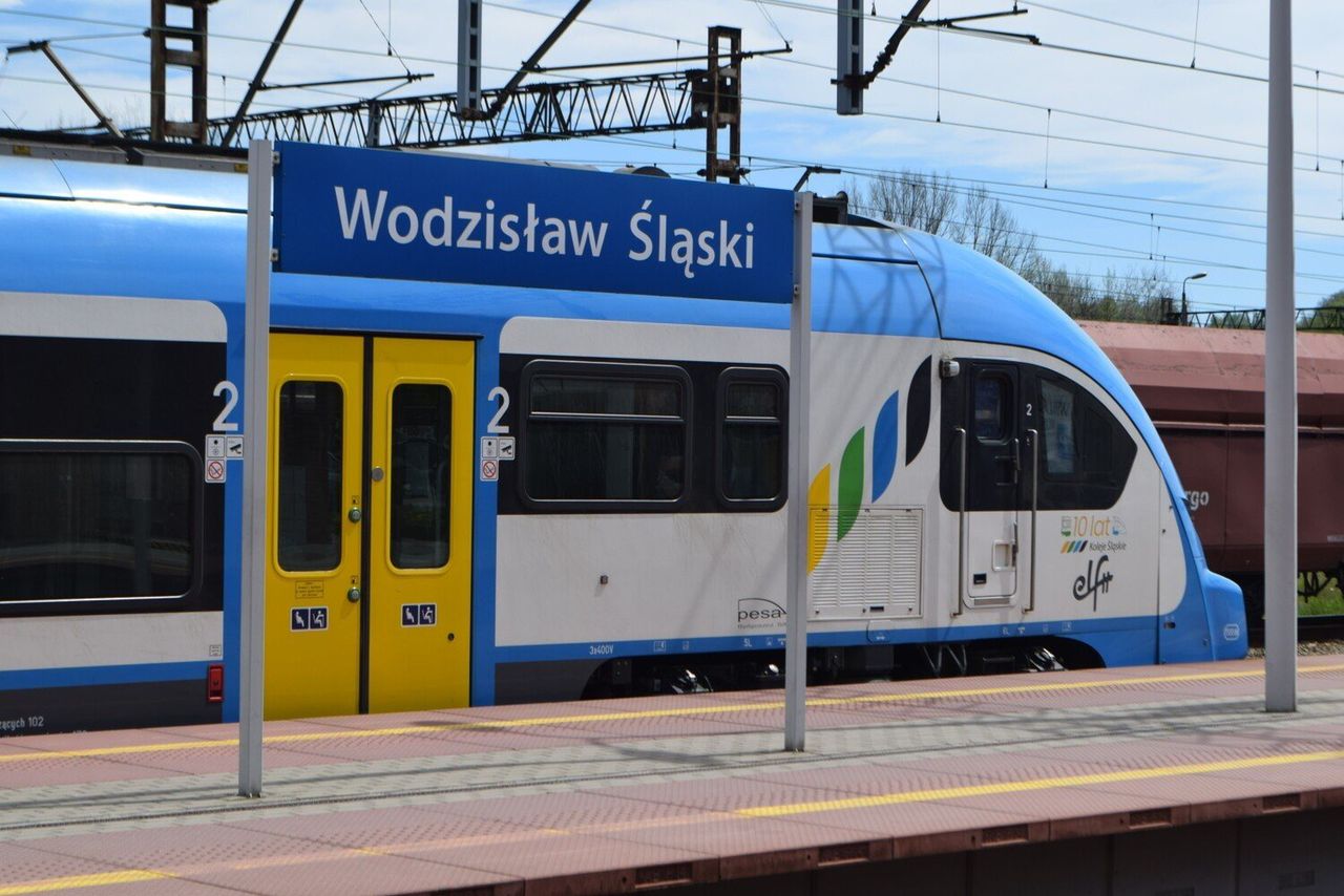 Wodzisław: Drzewo uszkodziło sieć trakcyjną pod. Wstrzymano ruch pociągów