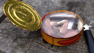 Puszkę po rybie wyrzucaj do tego kosza. Wiedziałeś o tym?