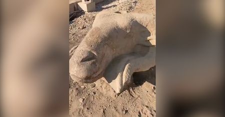 Trzy głowy baranów sprzed tysięcy lat. Niezwykłe odkrycie archeologiczne w Egipcie