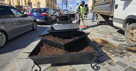 Nowe kute donice upiększyły centrum Lublina. Kosztowały blisko 40 tys. złotych [ZDJĘCIA]
