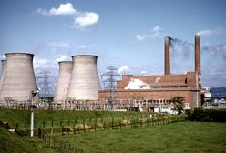 Czarna prognoza premiera Belgii. "Będzie 10 ciężkich zim"