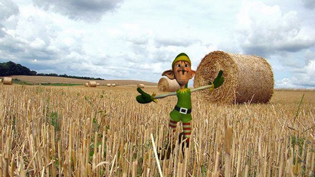 Wykop bawi i uczy: 12 najciekawszych znalezisk na temat zboża 1