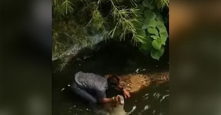 Pomylił go z plastikową zabawką. Turysta zaatakowany przez krokodyla