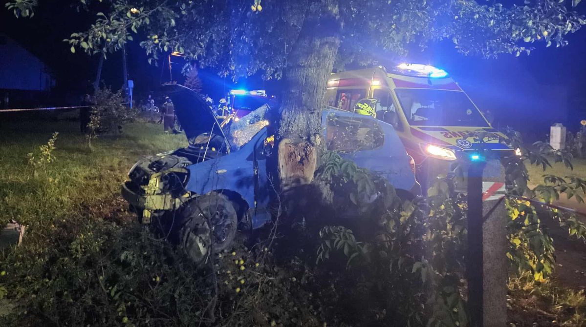 Zdziechowice Drugie: Toyota  uderzyła w drzewo. Jedna osoba w szpitalu