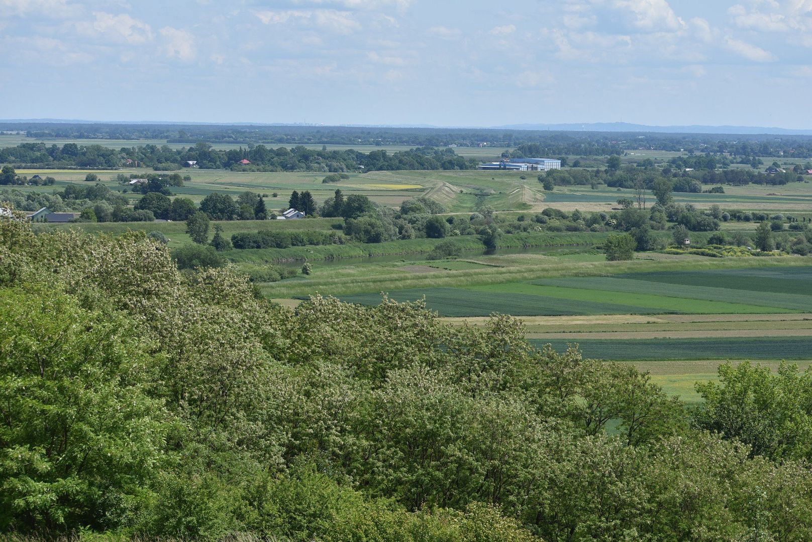 Widok z wieży w Witowie