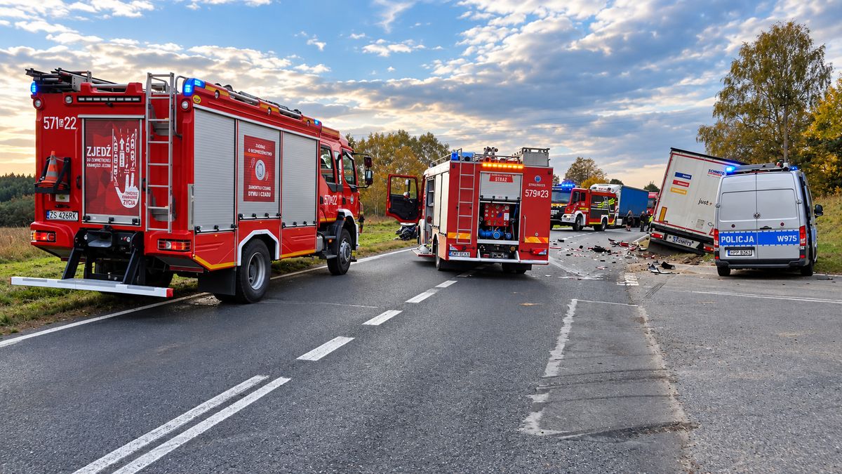 Strażacy i policja na miejscu wypadku na DK10 w okolicy Piecnika.