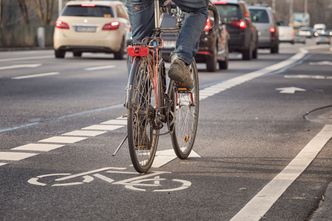 Ścieżki rowerowe wcale nie takie ekologiczne. Wytną 4 tys. drzew