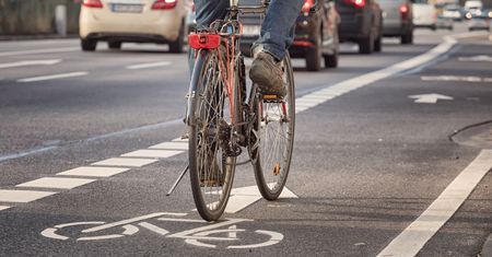 Ścieżki rowerowe wcale nie takie ekologiczne. Wytną 4 tys. drzew