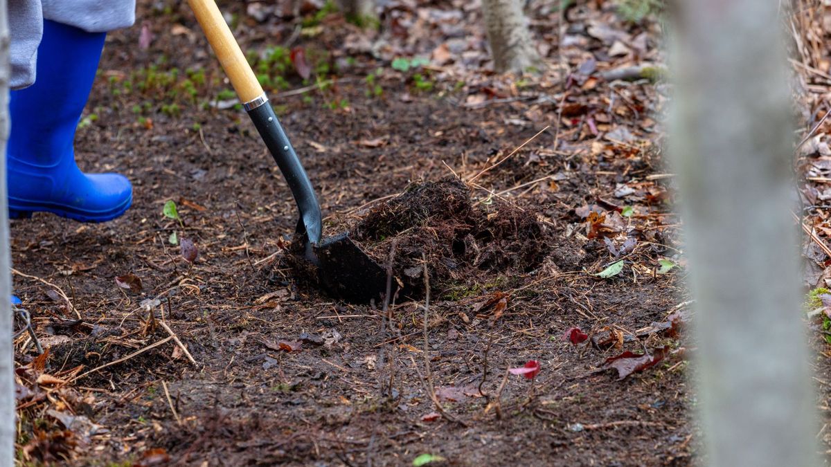 Mąż zakopał ją żywcem
