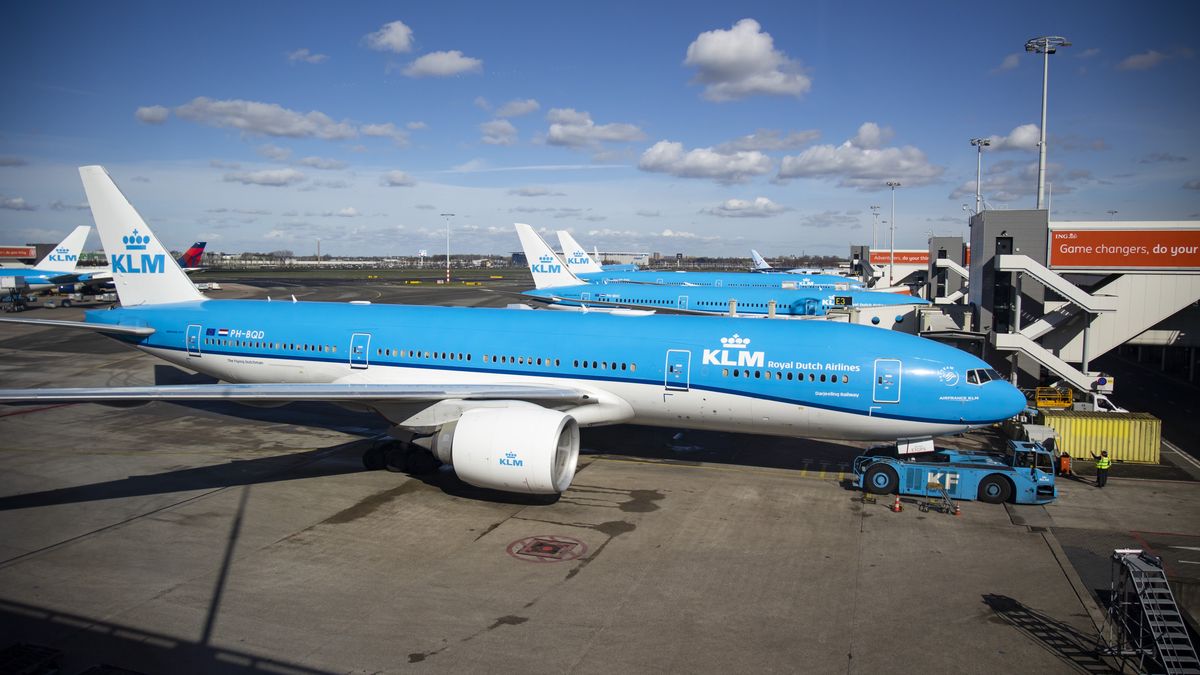 KLM ariplanes at the International Airport Schiphol in Amsterdam, Netherlands on March 11, 2023. (Photo by Emmanuele Contini/NurPhoto via Getty Images)