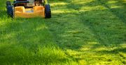 500 zł za koszenie w majówkę? Straż miejska wyjaśnia