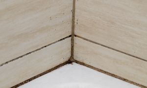 Wylej na fugi. W mig "wyżre" cały brud