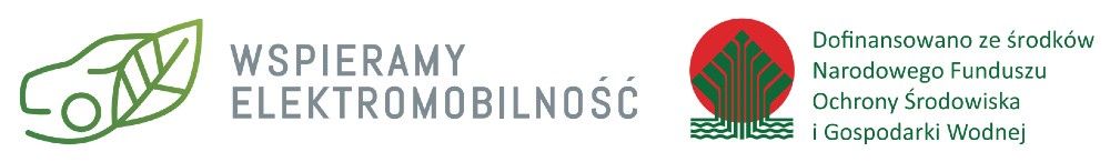 Wzór naklejki - program Zielony Samochód