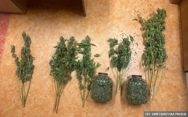39-latek odpowie za posiadanie znacznej ilości narkotyków. Kryminalni ujawnili narkotyki w jego mieszkaniu