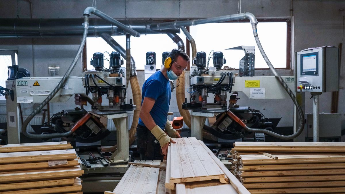 Lindner, Poland's Largest Coffin Maker
WAGROWIEC, POLAND - DECEMBER 11: A worker wears a protective face mask and and manages wood pieces next to a cutting machine inside the Lindner coffin maker factory on December 11, 2020 in Wagrowiec, Poland. The company, Poland's largest coffin maker and exporter for Western Europe (Germany, Netherlands, Denmark, Belgium, France, UK) who produces an average of 16000 coffins a month, reported a 2-percent rise in production over the previous year.  During the first wave of the coronavirus, Lindner reports a disruption on the annual rhythm of the business. Customers were afraid of closing the borders in March and it was also difficult for them to estimate how many coffins they would need, so they ordered "in advance". As increasing the production in a few days is not possible due to logistics, the waiting time for delivery of coffins increased from 3 to 8 weeks. It should also be noted that this year, customers ordered more cheaper coffins often used for cremation. Lindner, apart of being a role model of Polish coffin makers, also contributes for cultural events in the region, publishes his annual calendar merging the coffin business with artistic fashion photoshoots and develops ecologic paths for a more sustainable path for the industry. (Photo by Omar Marques/Getty Images)
Omar Marques