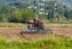 Rolnicy przegrywają z suszą. Fatalna sytuacja w 13 regionach