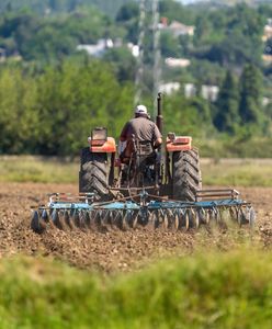 Rolnicy przegrywają z suszą. Fatalna sytuacja w 13 regionach