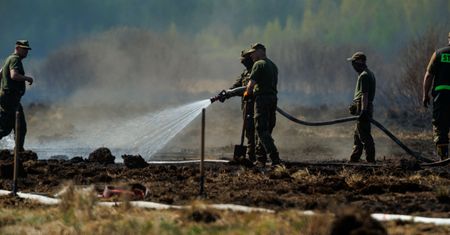 Pożar w parku narodowym. Tusk: Koniec akcji