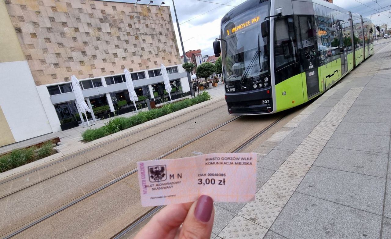 Gorzów Wlkp.: Rewolucja w MZK. Darmowa komunikacja i koniec papierowych biletów od 2026 roku