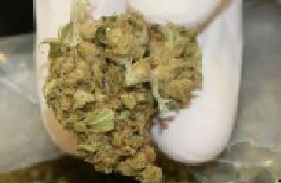 75g marihuany w domu lublinianina