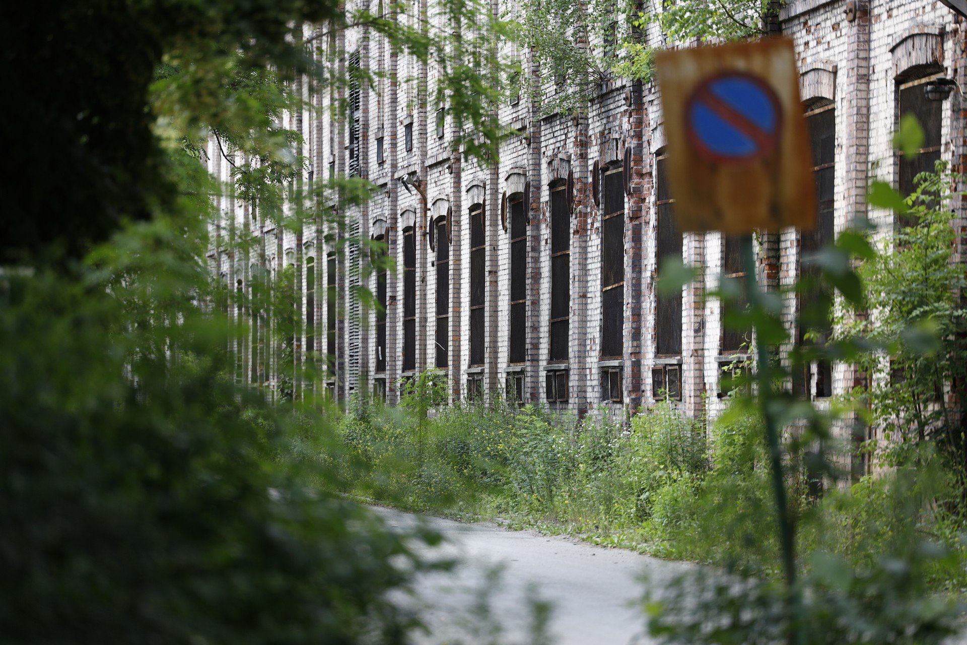 Tereny po dawnej fabryce ELANEX